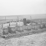 Trench Latrines